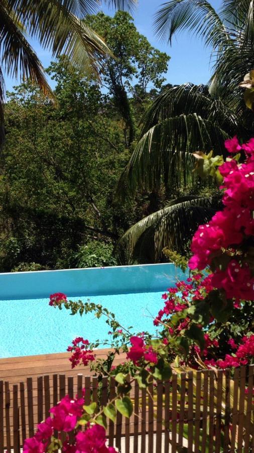 Confortable T1 Le Gosier, Wi-Fi, Piscine Dans Gite Le Gosier  Zewnętrze zdjęcie